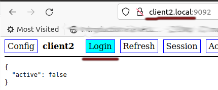 Keycloak Demo Client2 login