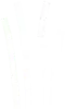 logo blanc DREAL normandie