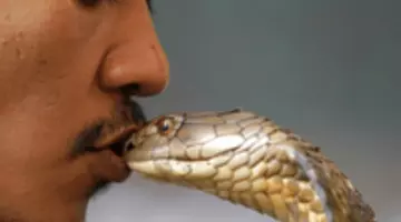 10 choses qui me font aimer python