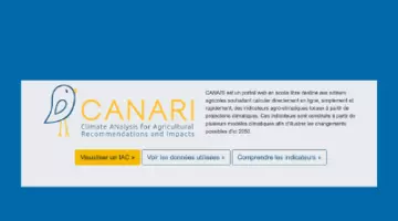 Canari