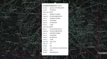 Capture d'une partie de carte montrant un réseau de voies sur un fond de carte sombre. Au centre, une popup affiche les information de l'un des tronçons du réseau.