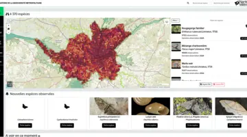 Mise en place de l'accessibilité sur GéoNature Atlas