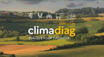 Bannière Climadiag Agriculture et Forêt