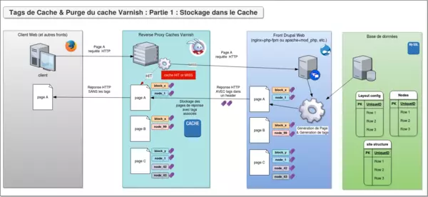 Tags de cache & purge du cache Varnish