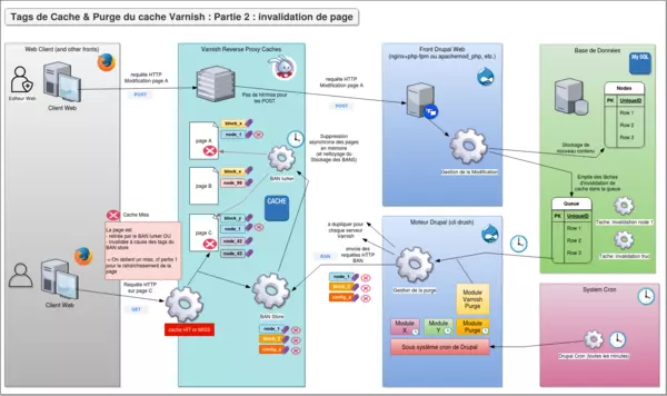 Tags de Cache & Purge du cache Varnish