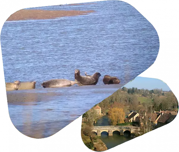 Département Orne : Randonnée