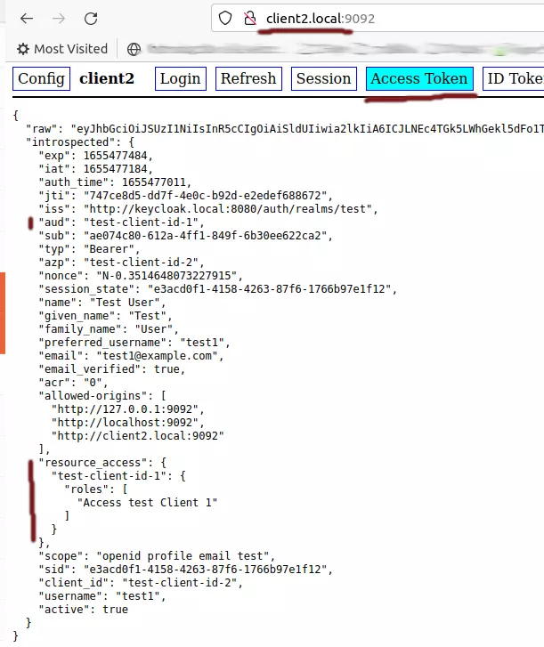 Keycloak Demo Client1 User1 Access token